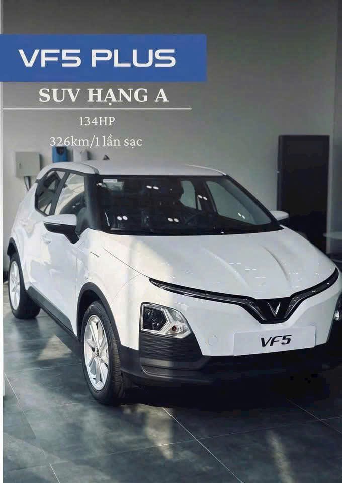 Vinfast VF5 Plus - Vinfast D1